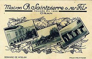 Oran Pub vins 061
